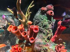 -沈阳海洋探索中心