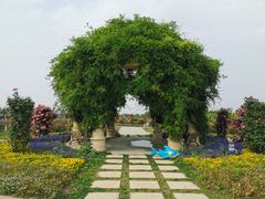 -南通鲜花小镇