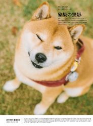 -ZOO KIDS象集摄影工作室(西城公馆店)