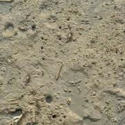 -北海金海湾红树林生态旅游区