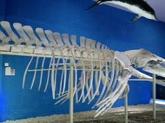 -福州罗源湾海洋世界旅游区