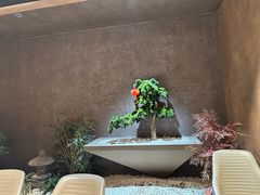 -阿露佳·舌尖上的安吉菜