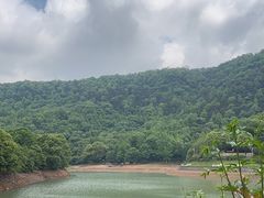 -桃花岭景区