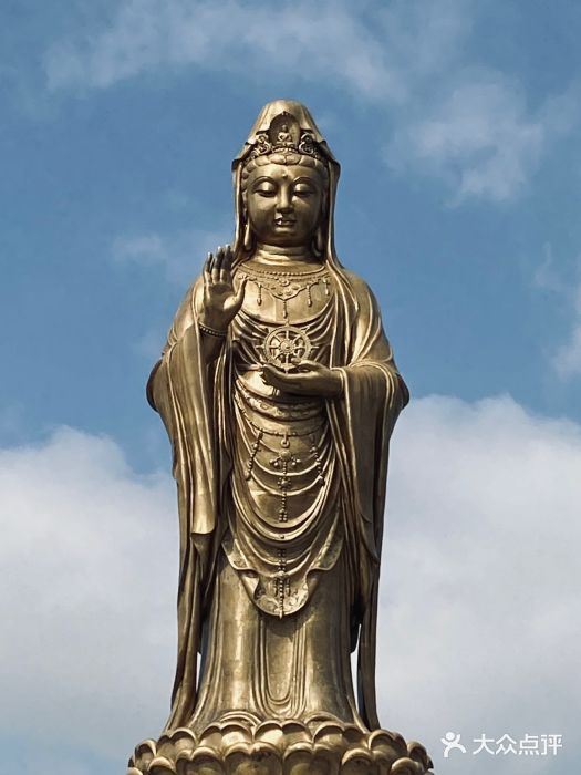 紫竹林图片