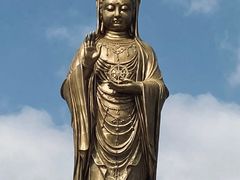 -紫竹林