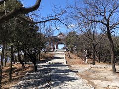 -香山公园