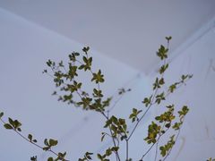 -漫时光
