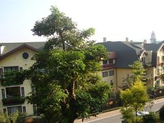 -深圳东部华侨城茵特拉根酒店