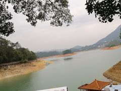 -广州市流溪河国家森林公园