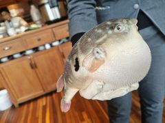 -永安鱼庄·镇江菜(丁卯店)