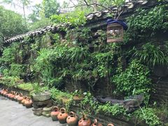 -青城甲(青城山店)