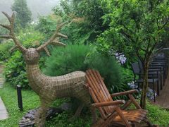 -南山植物园