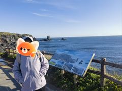 -涉地可支
