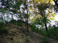 -元大都城垣遗址公园