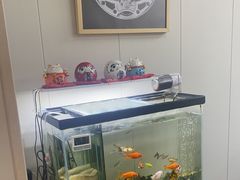 -会麦二手奢侈品包包手表回收寄卖(八佰伴店)