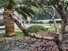 -上海市第八中学