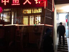 门面-甲鱼火锅(北村小区店)