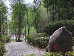 -金砂公园