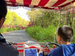 -上海海湾国家森林公园