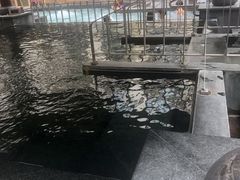-九号温泉生活馆