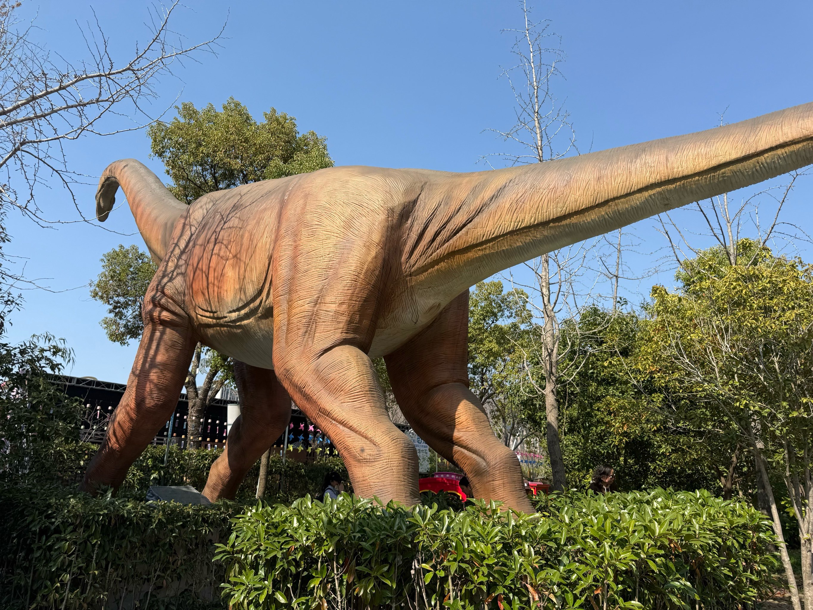 应该是上海最大的恐龙乐园了吧