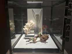 -北京七彩云南翡翠珠宝旗舰店(月坛店)