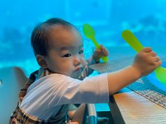 -海棠湾洲际-涛·海底餐厅·美人鱼·自助餐·海底隧道