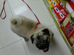 点评自助午餐-星海汇海鲜自助烤肉火锅(百大店)