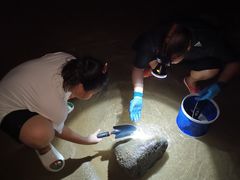 -日照灯塔风景区