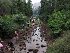 -重庆彩云湖湿地公园