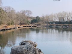-云岗森林公园