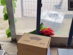 -马陆小张葡萄园农家乐