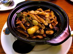 -普兰达德国餐厅·德式脆皮烤猪肘·自酿啤酒(观唐店)