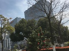 -维也纳国际酒店·江苏苏州火车站北广场店