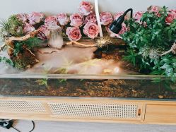 -Lumi露米·美甲美睫品质店