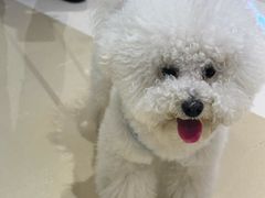 -金鹰国际购物中心(江都店)