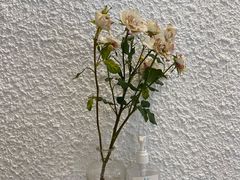 -Cafe on warm(丹霞店)
