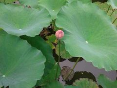 iphone_upload_pic-大明幻境第一城