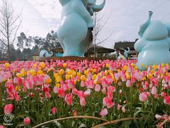 -保利石象湖景区