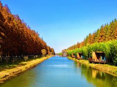 -黄海国家森林公园