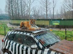 -上海野生动物园