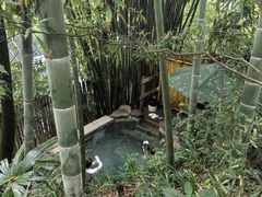 -花水湾第一村温泉大酒店