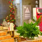 吃了几口才发现…这家重庆火锅店是真的宝藏