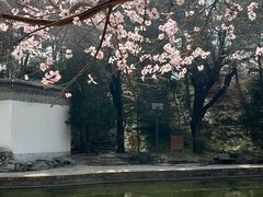 -团结湖公园