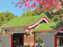 -广东圆玄道观
