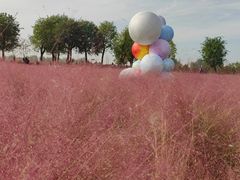 -汉长安城未央宫国家考古遗址公园