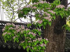 -苏州碑刻博物馆