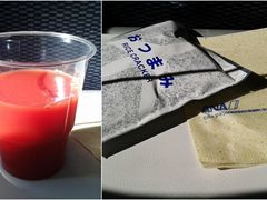 -全日本空输株式会社(上海办事处)