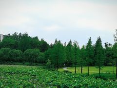 -浙江农林大学(东湖校区)