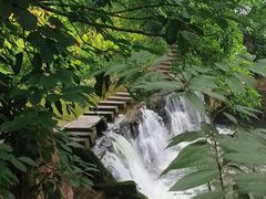 -重庆彩云湖湿地公园